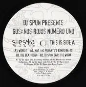 DJ Spun