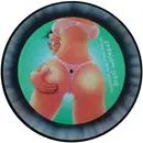 Picture LP - DJ Cellulitis - ... Popo Streicheln? - Picture Disc