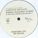 LP - DJ Hitch Hiker Pres. Lunatic Asylum - Cabal (Energy Flow)