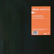 DJ Icey - Searching