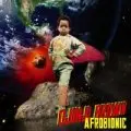 Djinji Brown - Afro Bionic