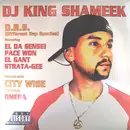 12'' - DJ King Shameek - D.R.S. (Different Rap Species) / City Wise