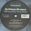 12'' - DJ Peter Project - Show Me The Way