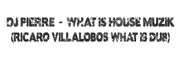 DJ Pierre - What Iz House Muzik?