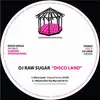 12'' - Dj Raw Sugar - Disco Land