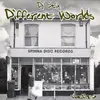 Double LP - dj stix - different worlds