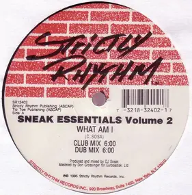 DJ Sneak - Sneak Essentials Volume 2