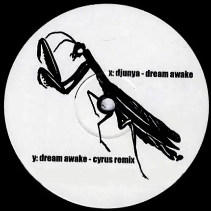 Djunya - Dream Awake