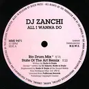 12'' - DJ Zanchi - All I Wanna Do / Do What I Wanna Do