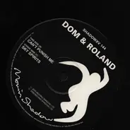 Dom & Roland - Can't Punish Me / Sky Spirits