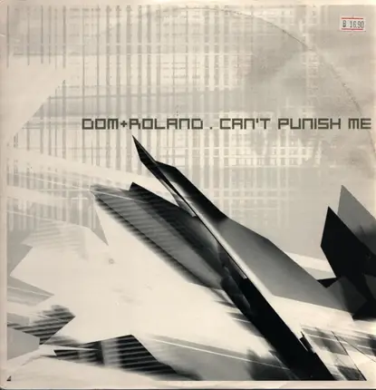 Dom & Roland - Can't Punish Me / Sky Spirits