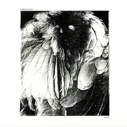 Domenico Crisci - Velvet