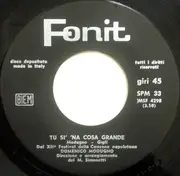7inch Vinyl Single - Domenico Modugno - Tu Si' 'Na Cosa Grande
