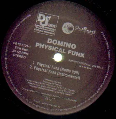 Domino - Physical Funk