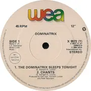 12inch Vinyl Single - Dominatrix - The Dominatrix Sleeps Tonight