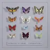Double LP - Dominik Eulberg - Lepidoptera