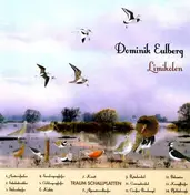 Dominik Eulberg - Limikolen