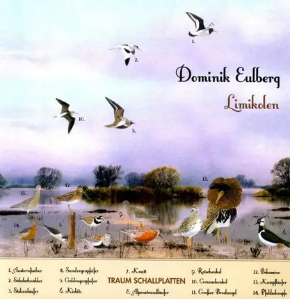 Dominik Eulberg - Limikolen