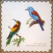 Dominik Eulberg - Bienenfresser & Blauracke