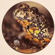 12inch Vinyl Single - Dominik Eulberg - Die Rotbauchunken Vom Tegernsee