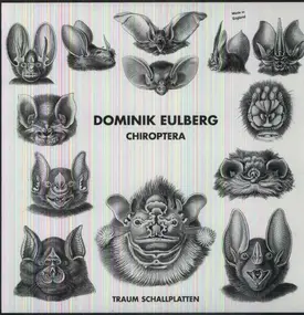 Dominik Eulberg - Chiroptera