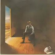 LP - Don McLean - Homeless Brother