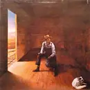 LP - Don McLean - Homeless Brother