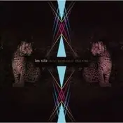 don nino - IN THE BACKYARD OF YOUR MIND
