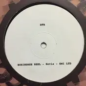 Don Pablo's Animals - Busindree Reel