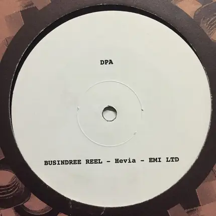 Don Pablo's Animals - Busindree Reel