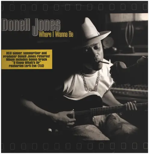 激レア！廃盤オリジナル2LP Donell Jones Donell Jones Albums Vinyl