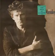 LP - Don Henley - Building The Perfect Beast