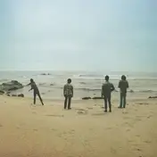 The DONKEYS - Ride the Black Wave
