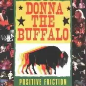 Donna the Buffalo - Positive Friction