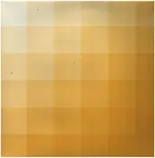 Donnacha Costello - mustard