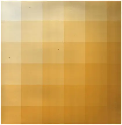donnacha costello - mustard