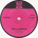 7inch Vinyl Single - Donovan - There Is A Mountain - Solid Center