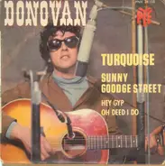 Donovan - Turquoise