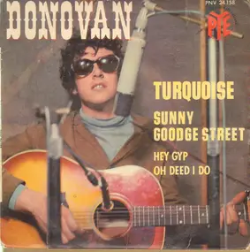 Donovan - Turquoise