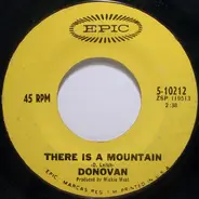 Donovan - There Is A Mountain