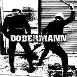 Dobermann