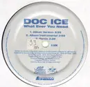 12inch Vinyl Single - Doctor Ice - What Ever You Need