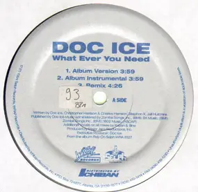 Doctor Ice - What Ever You Need