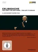 Sergiu Celibidache - Celibidache:You Don't Do