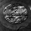 12inch Vinyl Single - Docetism - Potential Natural Vegetation - Smokey Transparent Grey Vinyl, Ltd Ed