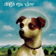 Dog's Eye View - Daisy