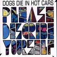 Dogs Die in Hot Cars - Please Describe Yourself