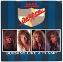 7inch Vinyl Single - Dokken - Burning Like A Flame