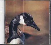 Doldrums - Secret Life of Machines