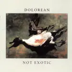 DOLOREAN - Not Exotic